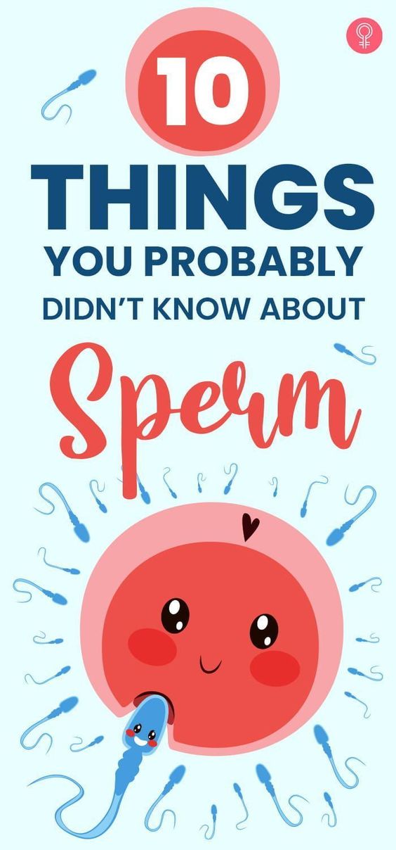10 Things You Probably Didn’t Know About Sperm
