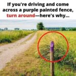 If You See A Fence Painted Purple, You Better Know What It Means – Knowing This Can Save Your Life